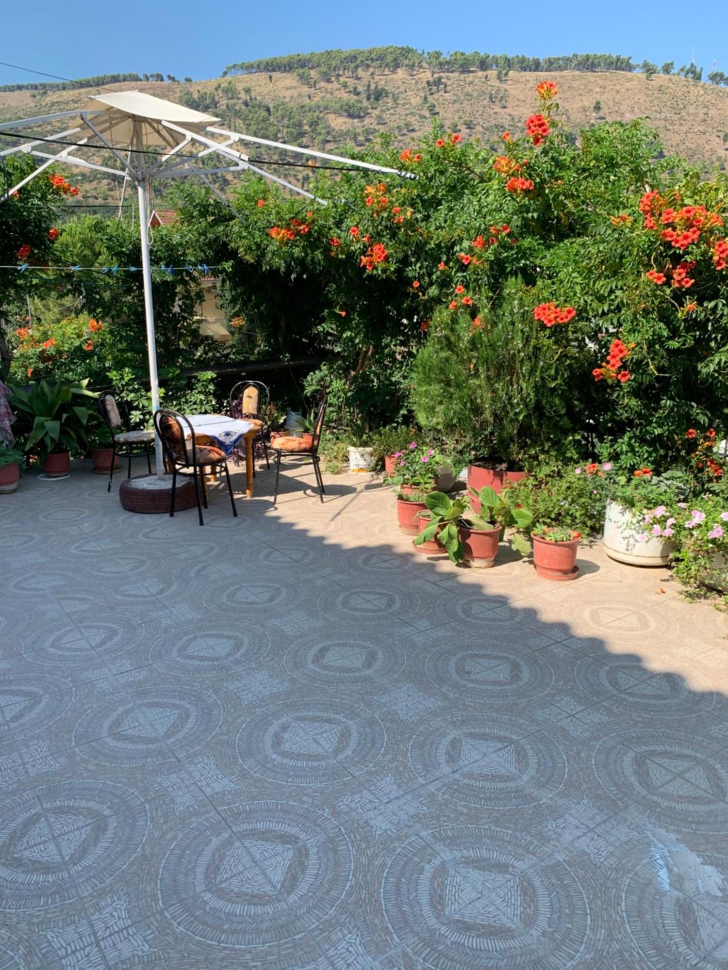Guesthouse Katerina Berat Ngoại thất bức ảnh