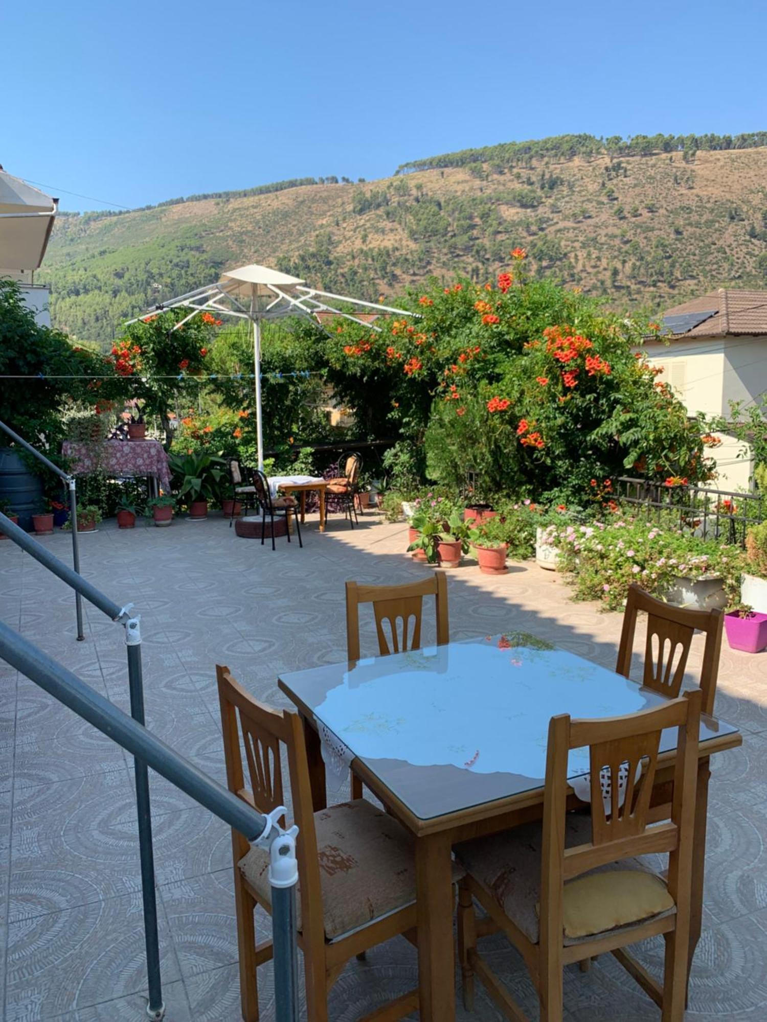 Guesthouse Katerina Berat Ngoại thất bức ảnh
