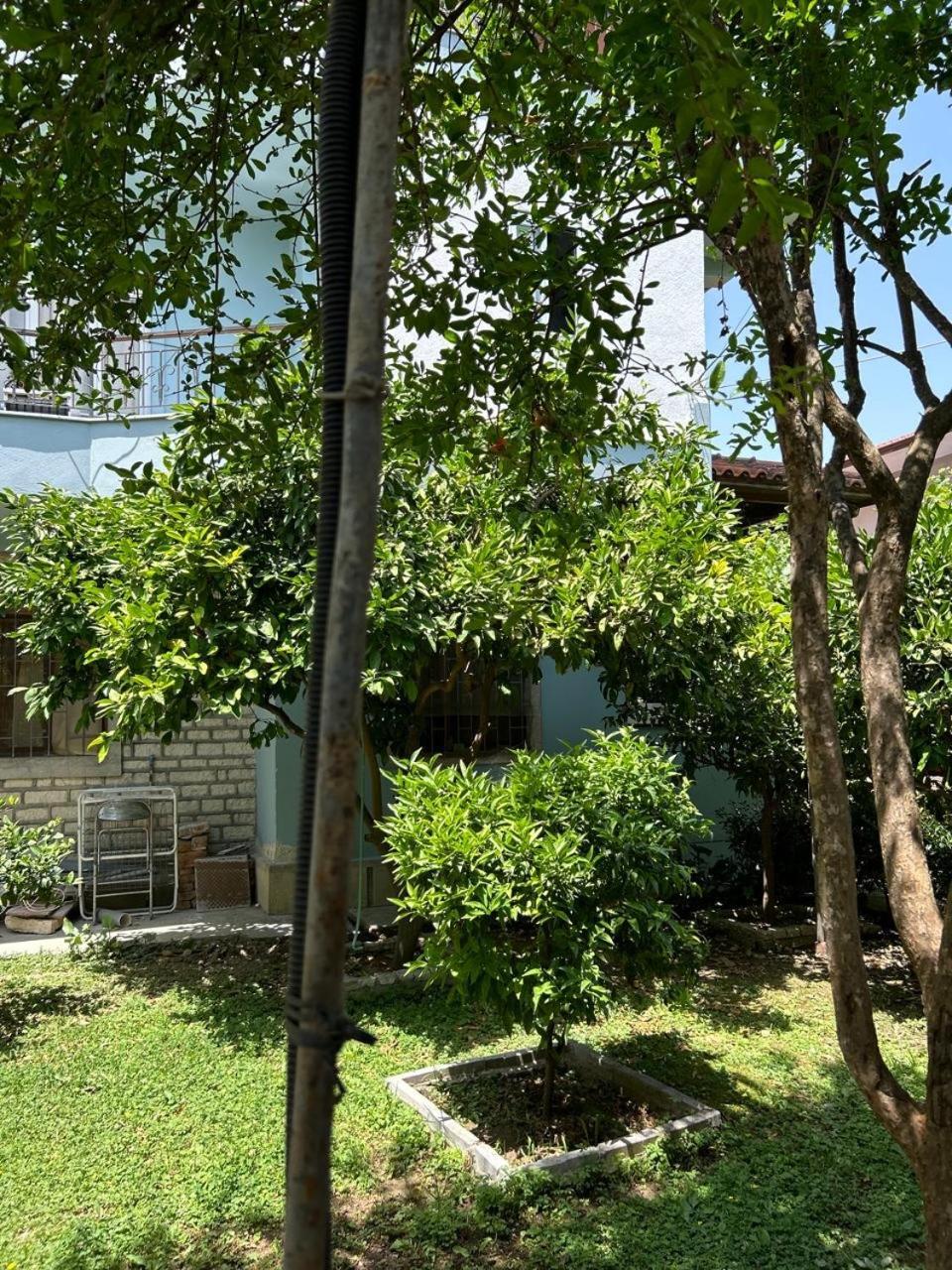 Guesthouse Katerina Berat Ngoại thất bức ảnh