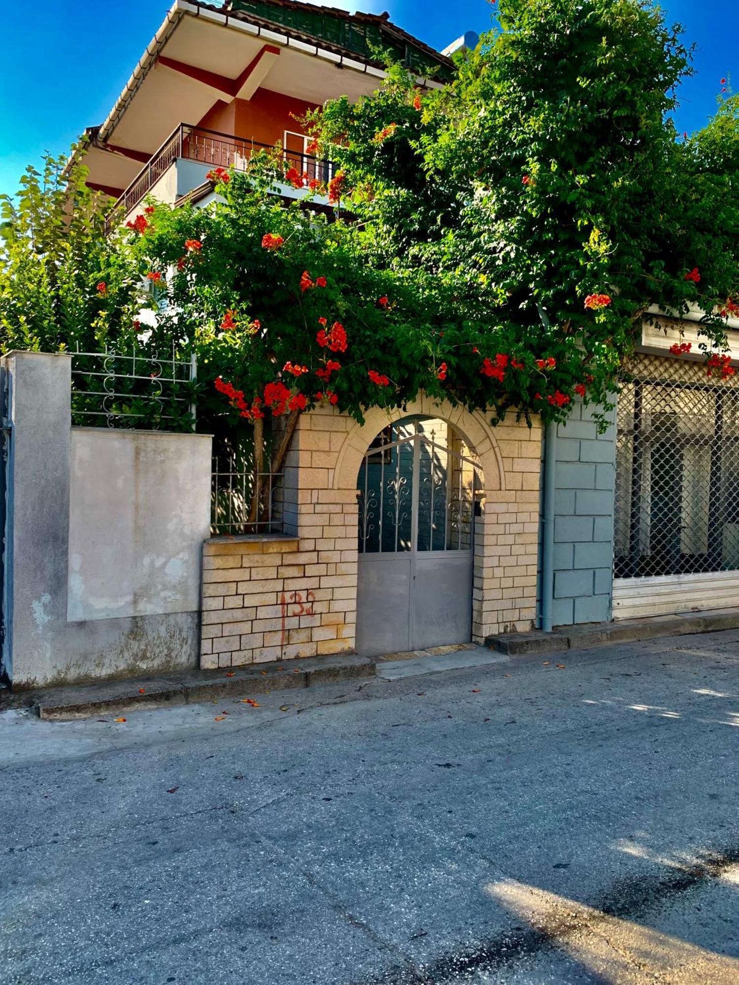 Guesthouse Katerina Berat Ngoại thất bức ảnh