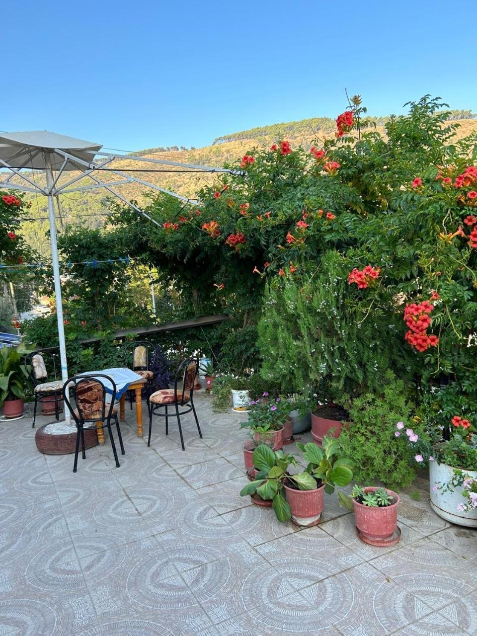 Guesthouse Katerina Berat Ngoại thất bức ảnh