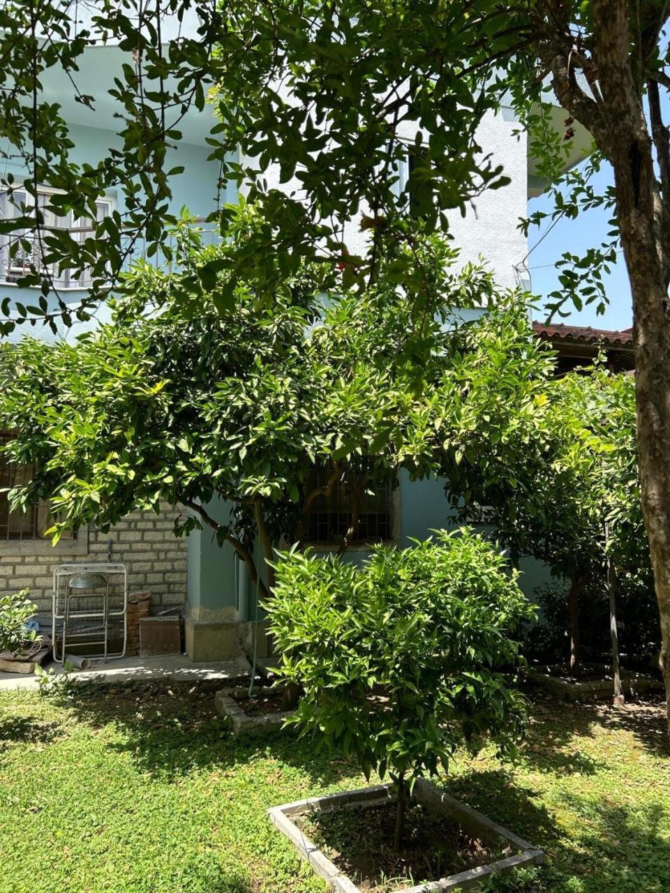 Guesthouse Katerina Berat Ngoại thất bức ảnh